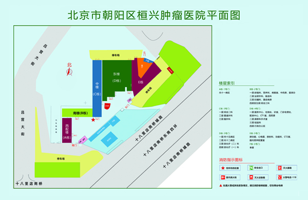 抠逼av影视北京市朝阳区桓兴肿瘤医院平面图